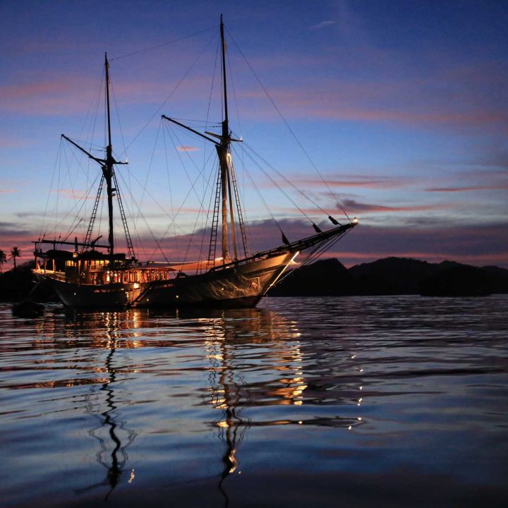 A Timeless Voyage