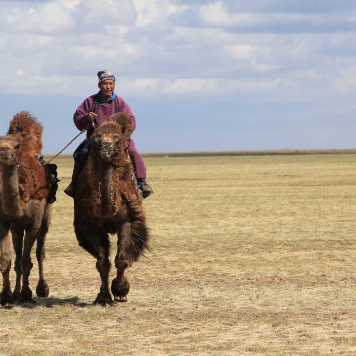 Stepping out into the Steppes