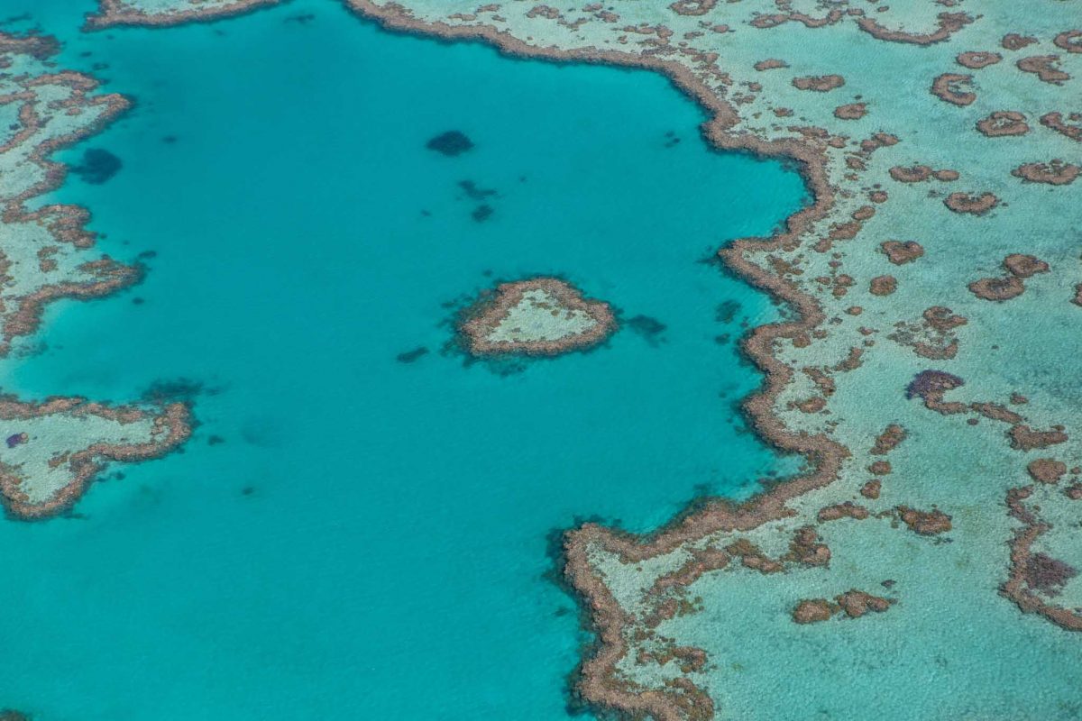 Aerial view of the Great Barrier Reef