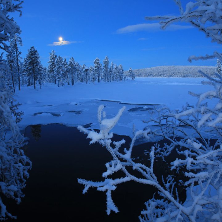 Winter Wonderlands