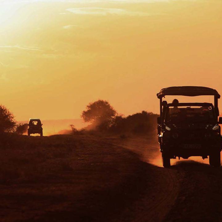 A Classic East African Safari