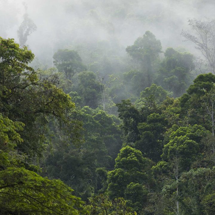 Delving into Diversity in Costa Rica