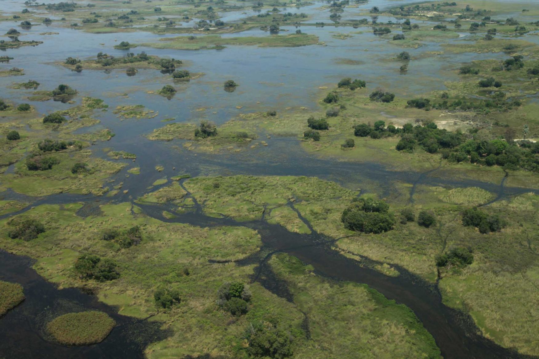 african-family-safari-okavango-delta-wetlands