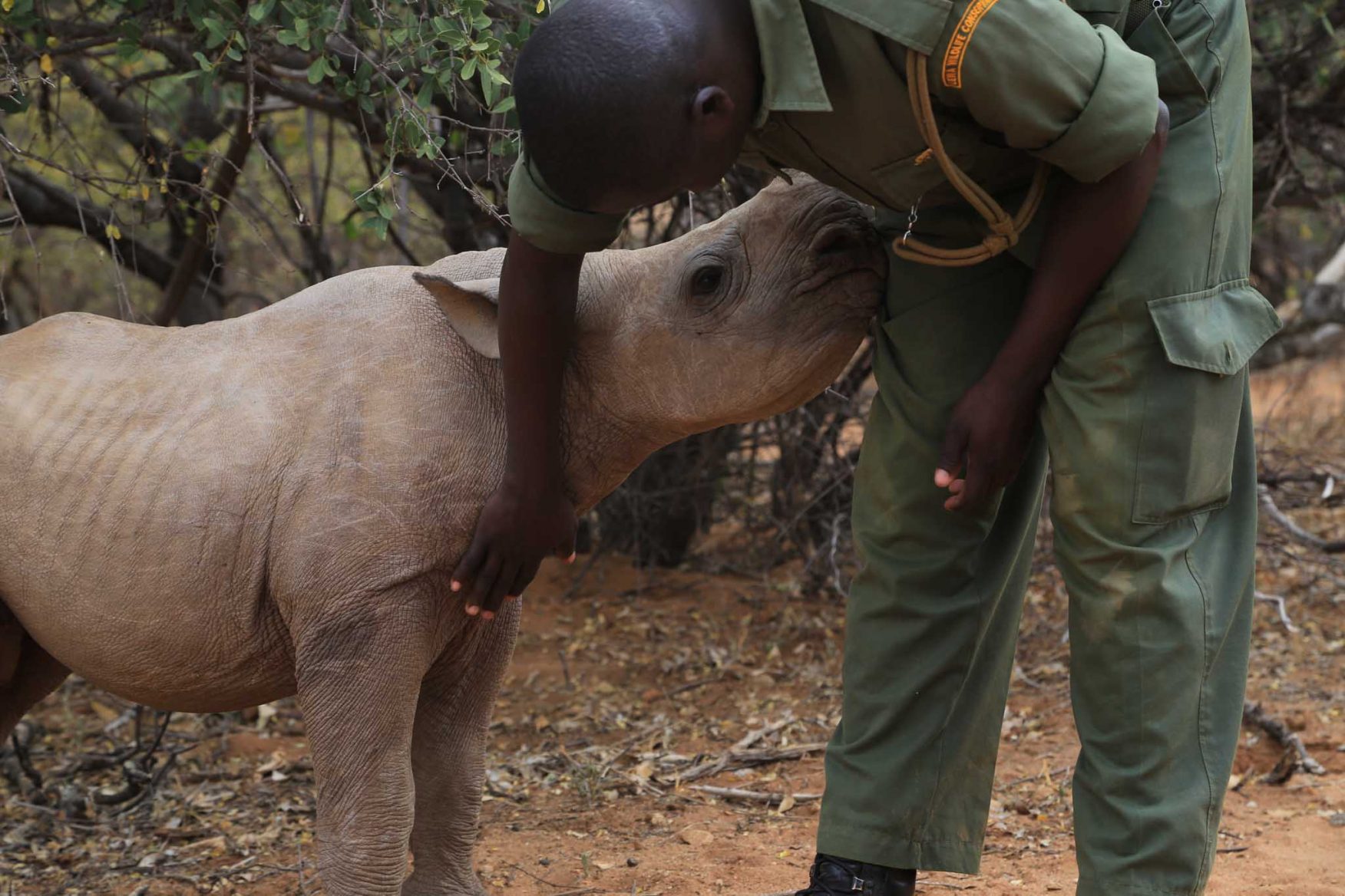 rhino-conservation-12-baby-ranger